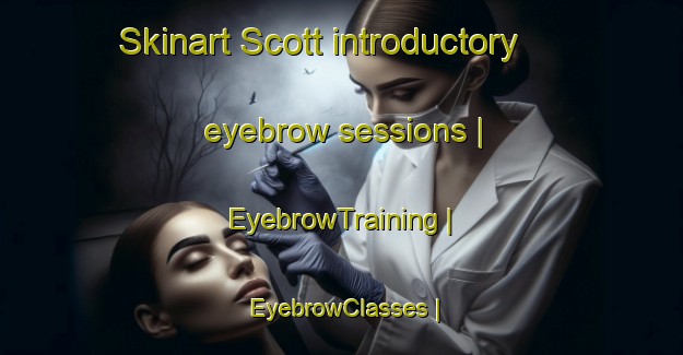Skinart Scott introductory eyebrow sessions | EyebrowTraining | EyebrowClasses | SkinartTraining-Canada